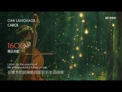 T600 Oak Wood Grain Decor Paper