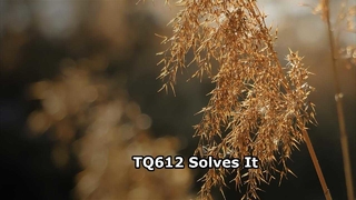 TQ612